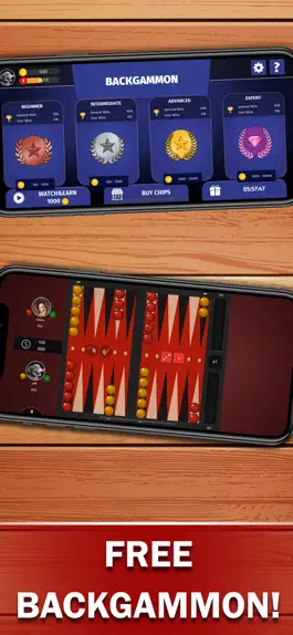Game screenshot Backgammon - Offline apk
