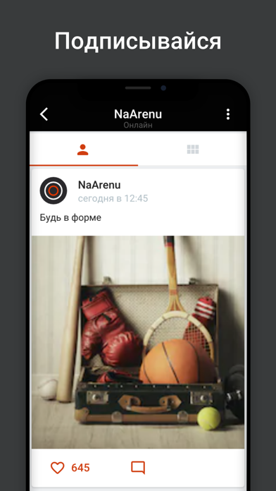 NaArenu screenshot 3