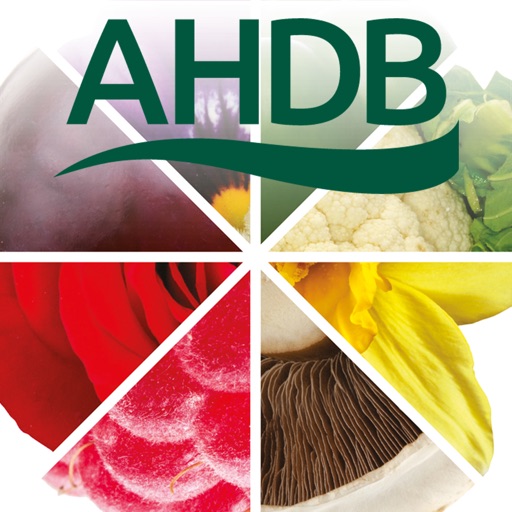 AHDB Crop Walkers’ Guide