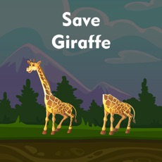 Activities of Save Giraffe