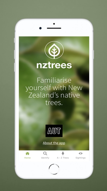 Nz Trees By Autel