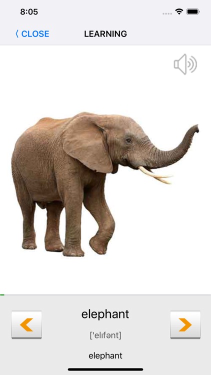 Learn American English words