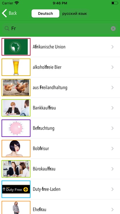 Picture Dictionary Russian screenshot-4