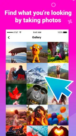 Game screenshot Image Recognition And Searcher mod apk