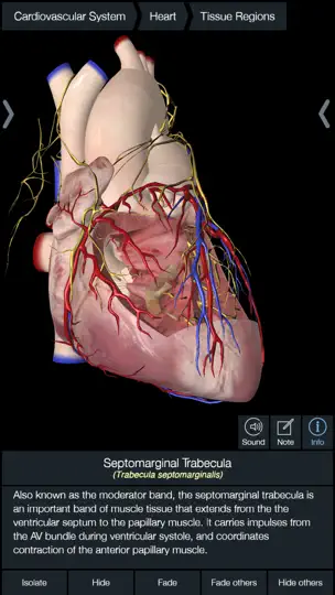 Скриншот Essential Anatomy 5 на iPhone 5