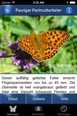 Game screenshot Schmetterling Id - Tagfalter apk