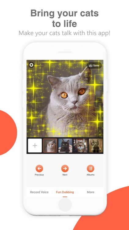 Bombing Cat