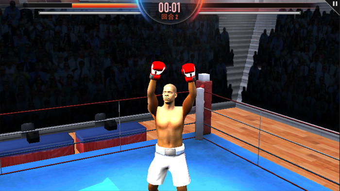 World Boxing Games
