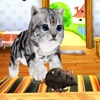 子猫猫VSラットランナーゲーム