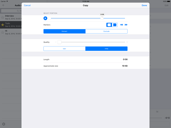 Audio Memos Pro iPad app afbeelding 4