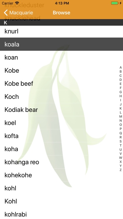 Macquarie School Dictionary