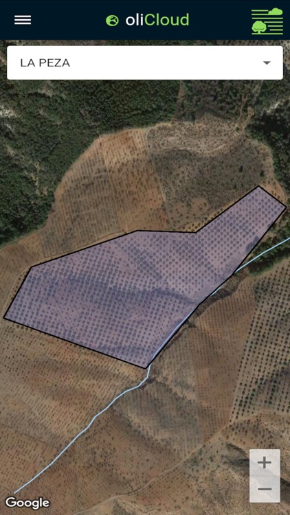 oliCloud screenshot-3