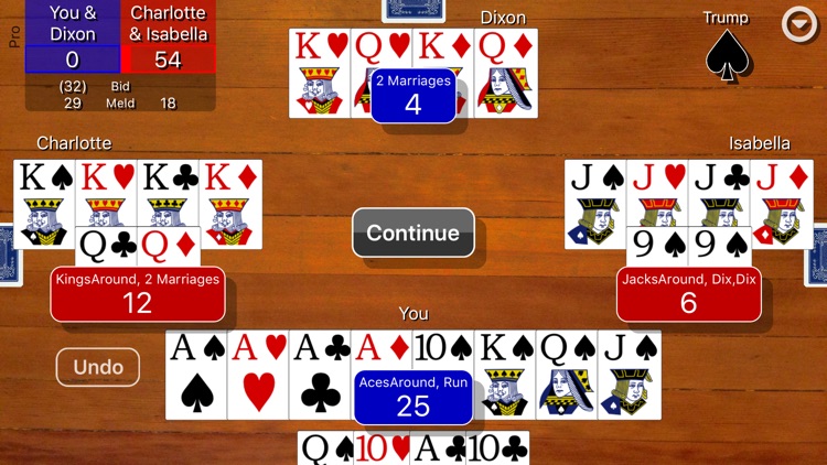 Pinochle Classic screenshot-7