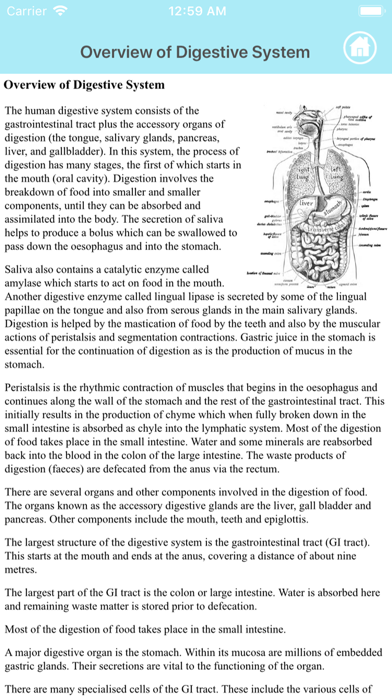 Learn Digestive System screenshot 2