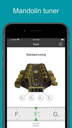 Mandolin Tuner EM-1 screenshot 1