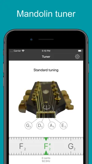 Mandolin Tuner EM-1 screenshot 1
