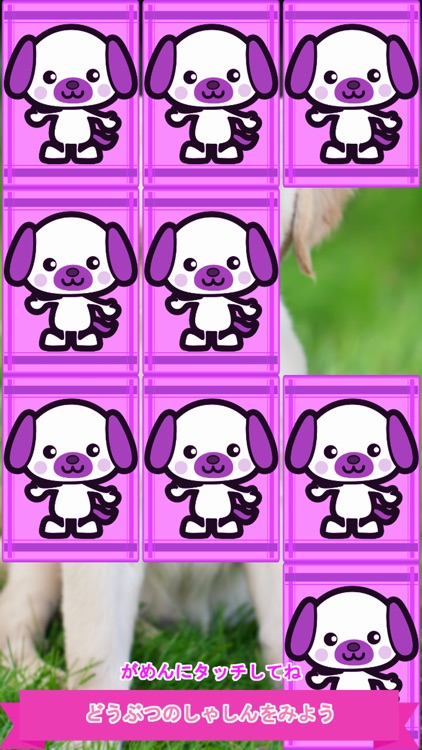 わくわくどうぶつパズルパレード screenshot-3