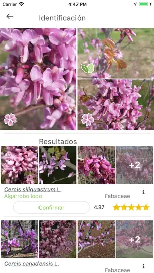 Captura de pantalla de PlantNet en iPhone 2