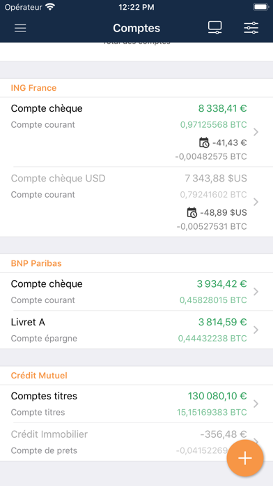Screenshot #3 pour Budgea