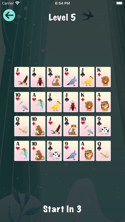 Eliminate Same Animal