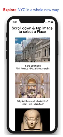 Game screenshot PlaceChase Secrets of the Met mod apk
