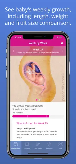 Game screenshot Woman’s Pregnancy mod apk