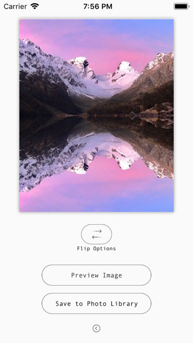 Screenshot #2 pour Mirror Flipper