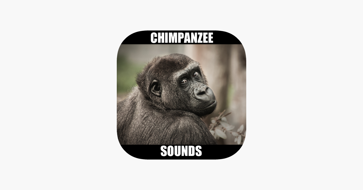Real Chimpanzee Sounds on the App Store