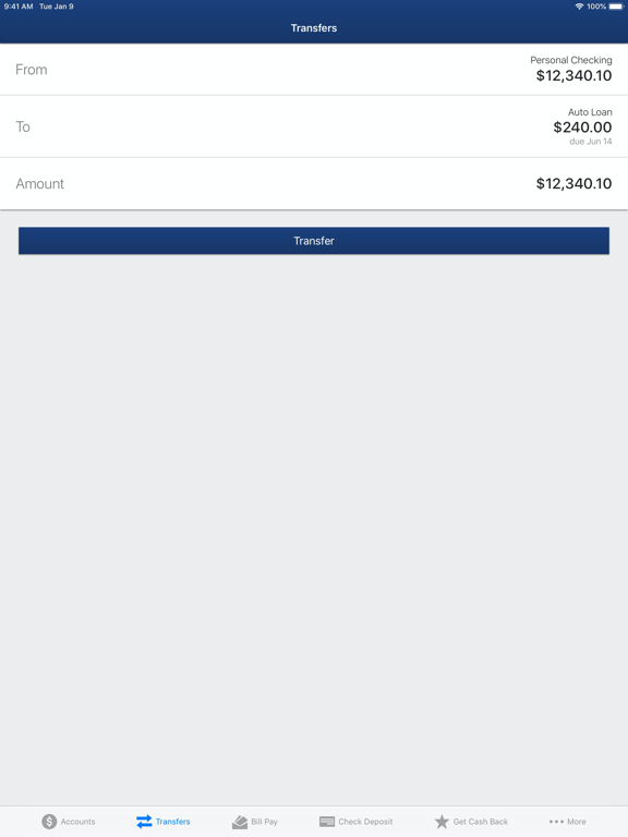FNB Hebbronville iPad screenshot 4 - Finance app