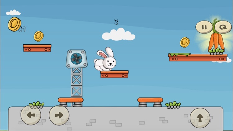 Feed For Hungry Bunny