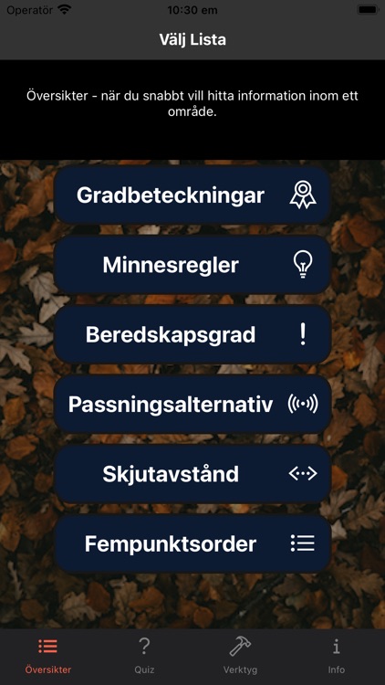 Rustad Soldat screenshot-0