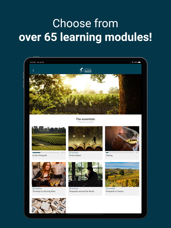 OEnoBordeaux iPad screenshot 1 - Education app
