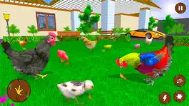 Game screenshot Hen Simulator Family Survival hack