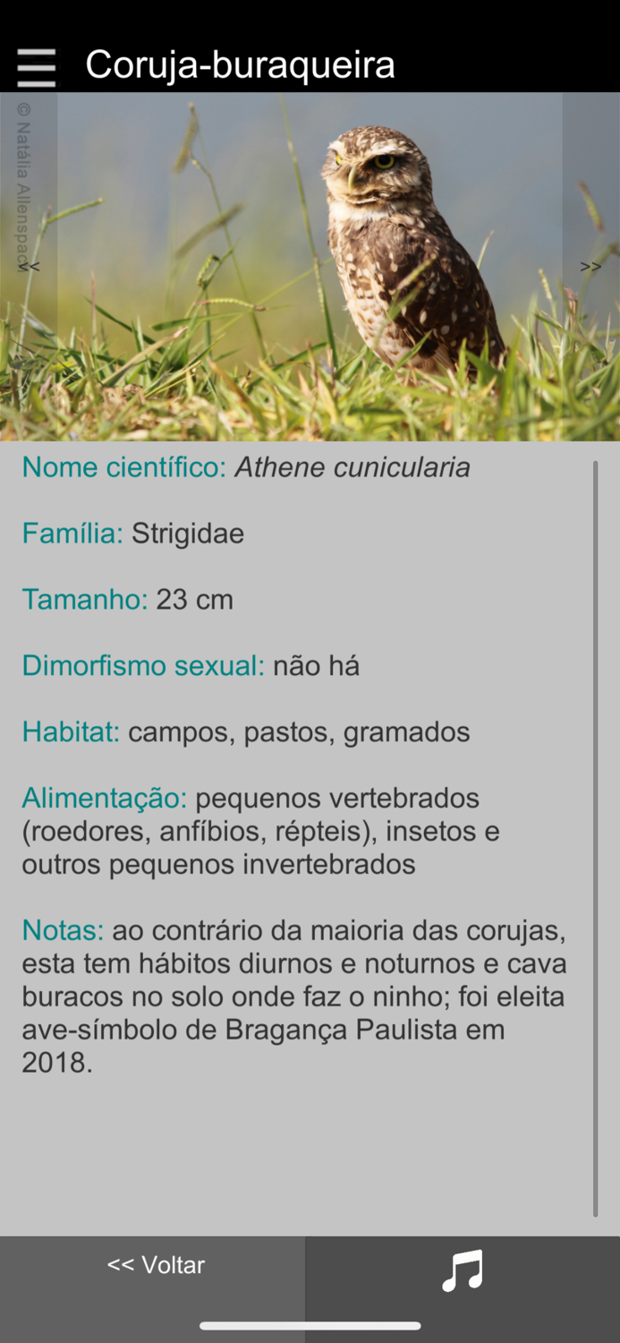 Guia Aves da Região Bragantina