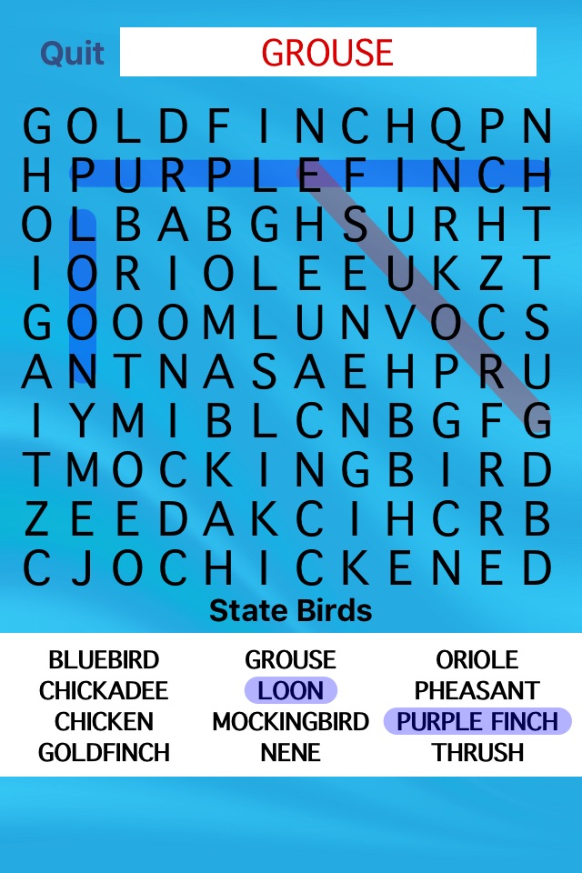 United States Word Search screenshot 2