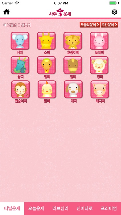 사주 와 운세 타로 궁합