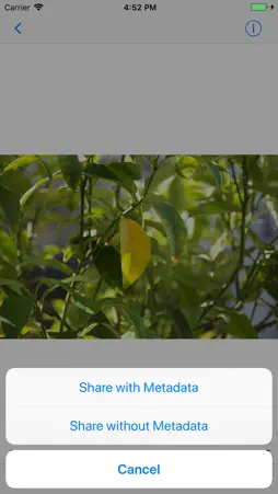 ViewExif screenshot 5