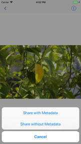 ViewExif screenshot