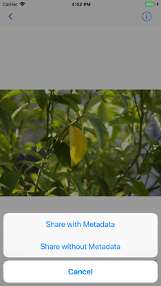 ViewExif screenshot 5