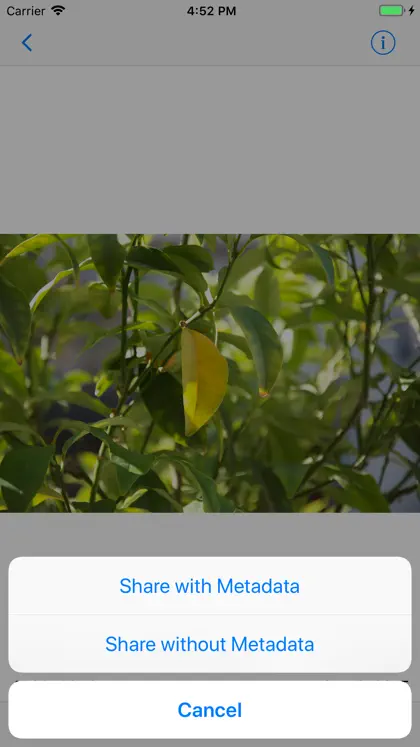 ViewExif screenshot 5 of 5