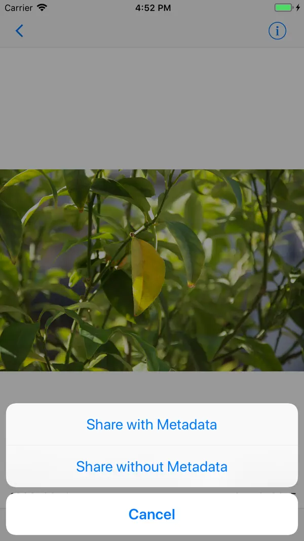 ViewExif Screenshot 5