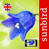 Wild Flower Id British Isles - Sunbird Images OHG