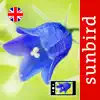 Wild Flower Id British Isles contact information