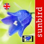 Wild Flower Id British Isles app download