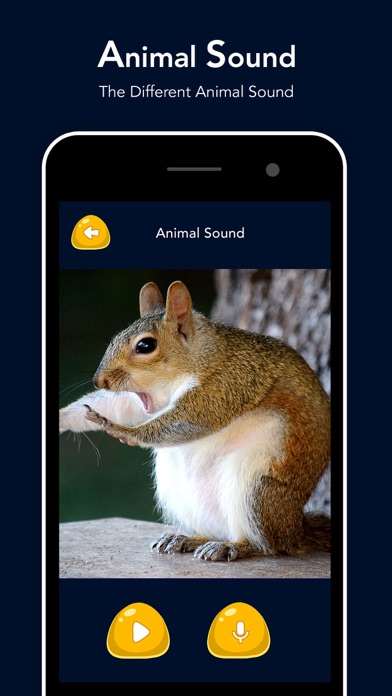 Animal Sound - Zoo Fun screenshot 3