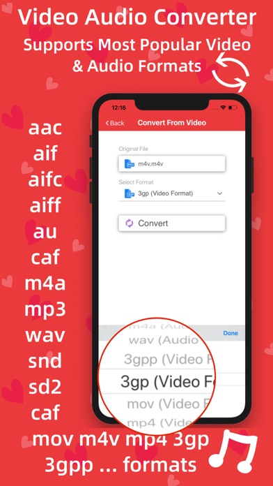 Video Audio Converter Pro Screenshot