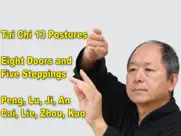 tai chi 13 postures ipad images 1