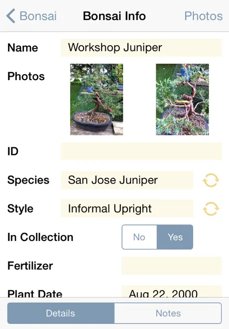 Bonsai Album