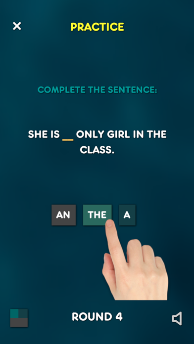 Articles - Grammar Test LITE screenshot 4