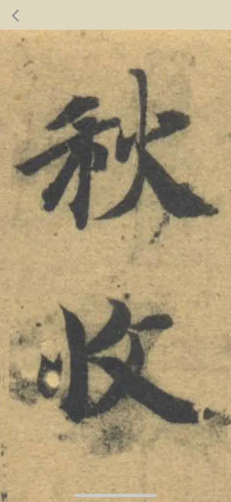 智永真草千字文+AR